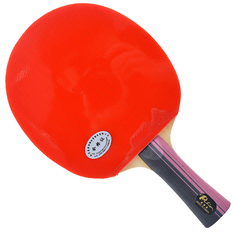 Original PALIO 3 Stars Carbon  - огляд і ціна Table Tennis Kit Bag