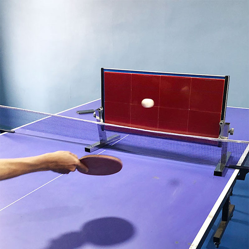 Home Table Tennis Rebound Boar - огляд і ціна Table Tennis Eleven